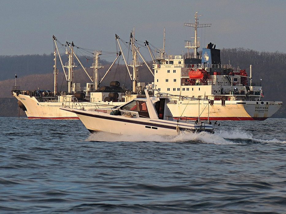 morning, boats, vessels, fleet, trawler, shipping, logistics, fleet, fleet, fleet, trawler, trawler, trawler, trawler, trawler